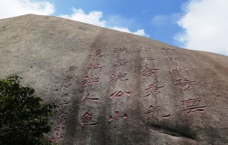 《美丽的水蜜桃》