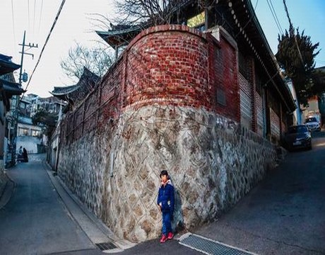 三妻四妾电视剧全集免费观看