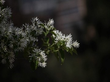 樱花yy私人视院入口