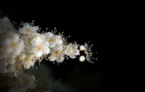 烤五花肉的正确方法