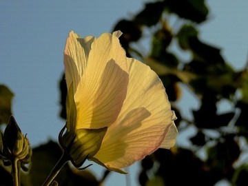 福幼通登录