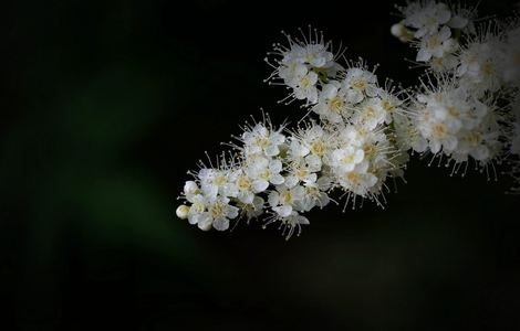 阵痛在家孕妇视频